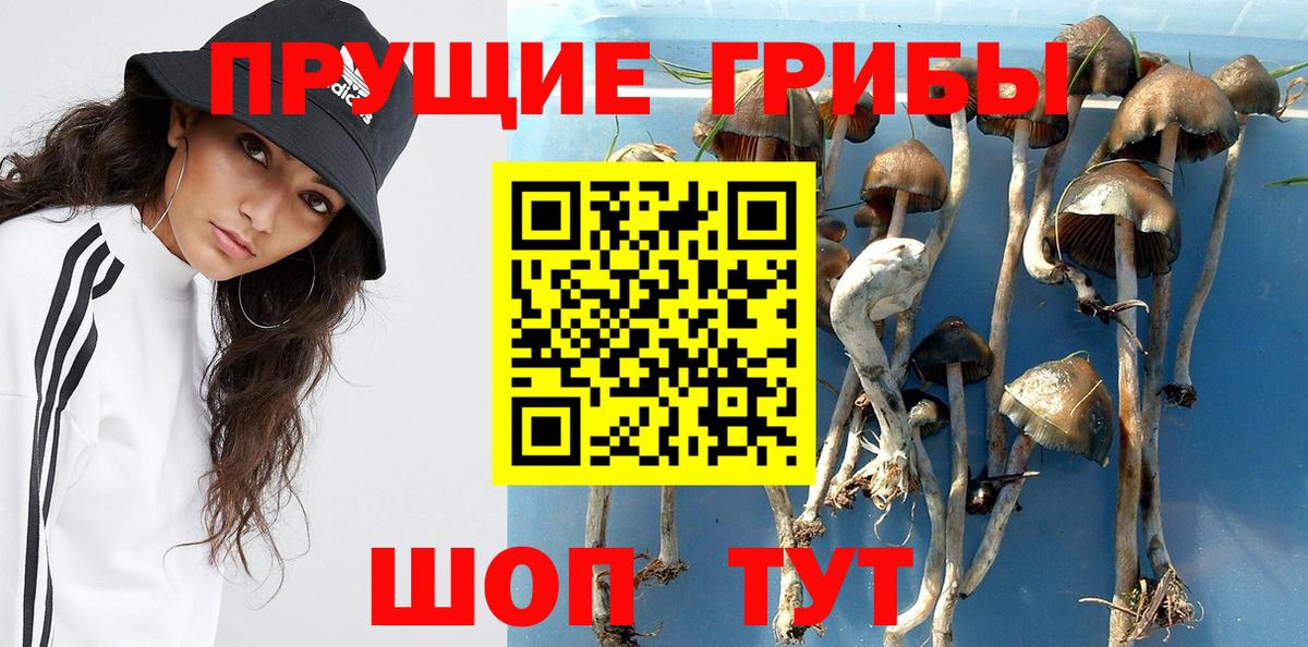 Псилоцибиновые грибы мухоморы  Галлюциногенные грибы Psilocybine cubensis  Вход с VPN  Шали 