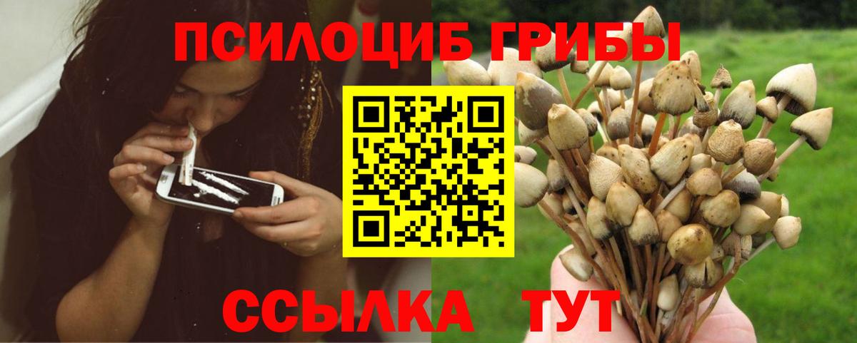 Псилоцибиновые грибы ЛСД Шали
